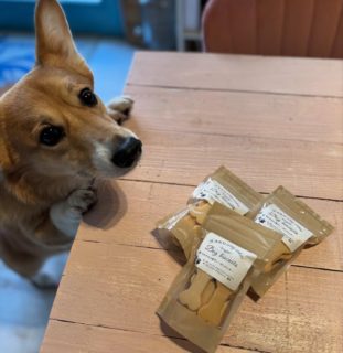 .
てんちょー🐾 も大好きな、
@mihare.k  ちゃんの『わんこと一緒に食べられるヴィーガンクッキー』🍪
そして、可愛いノームのアイシングクッキー🎄
たくさん入荷しています！
⁡
クリスマスのプチプレゼントにも、ぴったり！
わんこクッキーは、ハマるわんちゃんが続々です。
お早目にどうぞ🐾
⁡
Heavenlyはわんこと一緒に寛いで頂けますので、お散歩途中でも安心してふらっとお立ち寄りください🐾
⁡
⋆𓇼𓈒𓐍𓆡𓆉𓇼𓈒𓐍𓆉𓆡𓇼𓆡𓆉　.ﾟ･*.

Lani&Kai Mood 出店情報

🕯クリスマスチャリティイベント Vol.8「Gift of love 〜MOTHER OF PEARL」 
12月13日（土）10:30〜17:30
渋谷区渋谷4丁目1-18　ノグチビル2階　シンゾーンショールーム

🕯クリスマスマルシェ
12月16日（火）〜25日（木）
マルイファミリー溝口カレンダリウム4階

🕯キャンドルレッスン随時受付中🕯️
Heavenlyにて 
クリスマススペシャルワークショップ『Winter Wonderland』

《オンライン販売(base ･ minne)》

◆shop: Heavenly
◆open:11〜17時 月･木曜定休
◆251-0037
　神奈川県藤沢市鵠沼海岸1-14-20 クラーレ鵠沼102
◆小田急江ノ島線 鵠沼海岸駅より徒歩約5分
◆店舗隣にコインパーキング有🚙⁼³₌₃
◆お問い合わせは、DMまたはこちらまで
　0466-60-8245
  info@heavenly2024.com

#湘南 #鵠沼海岸 #江ノ島 #湘南観光　#jca #aca #アロマキャンドル #資格取得 #ワークショップ #workshop #体験レッスン #キャンドル教室  #キャンドル #candle #candlemaking #アロマテラピー #湘南カフェ #湘南ランチ #湘南グルメ #カフェ巡り#海のある生活 #海のある暮らし #アロマ #ハーブ #heavenly #lanikaimood